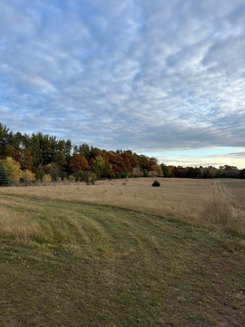992 191st Ave NW, Cedar, MN 55011