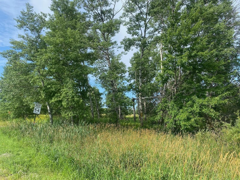 TBD Hupp St NE, Braham, MN 55006
