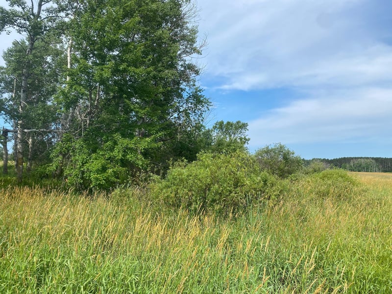 TBD Hupp St NE, Braham, MN 55006