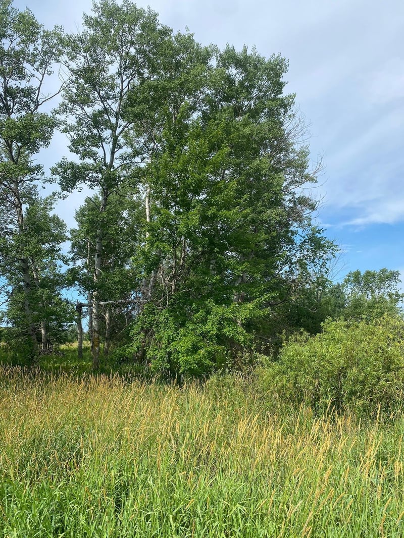 TBD Hupp St NE, Braham, MN 55006
