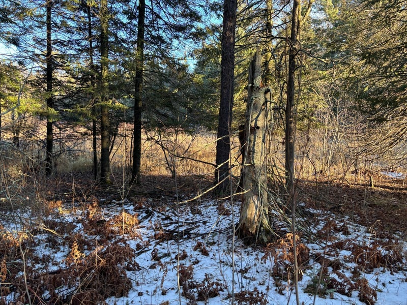 XXXX NW County 47, Longville, MN 56655