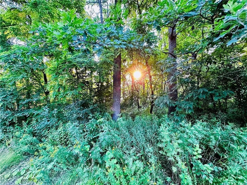 1120 Heart Island Pw, Rice Lake, WI 54868