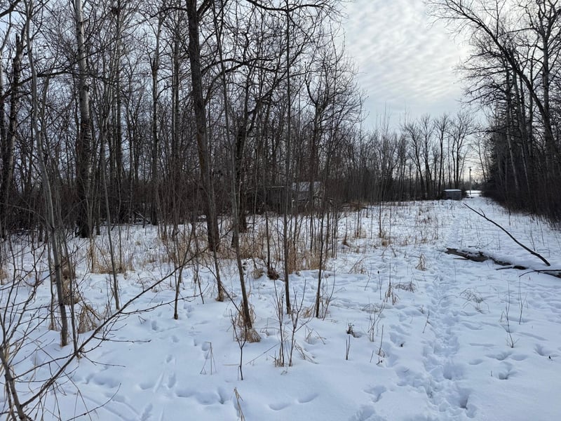 TBD County Road 73, Badger, MN 56714