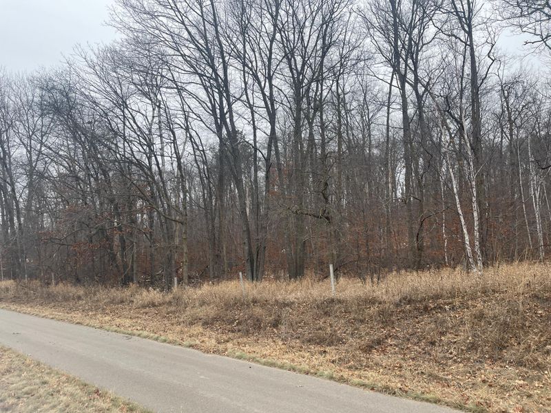TBD Forest Hills Ct Sw Ct SW, Nisswa, MN 56468