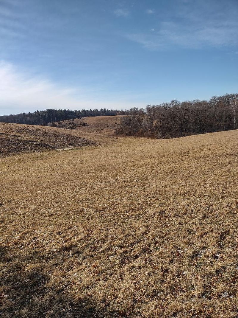 W12XXX E Moore Rd, Humbird, WI 54746