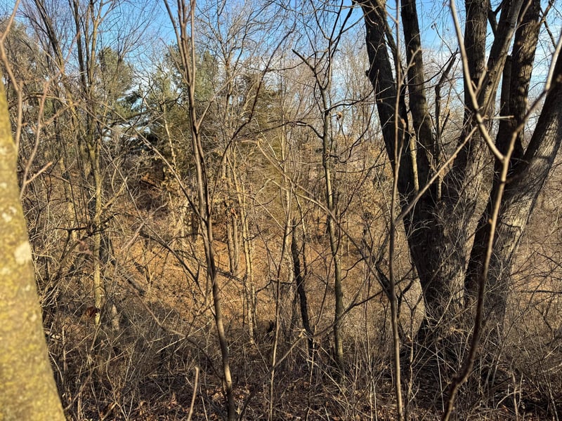 0 County Rd D, Ettrick, WI 54627