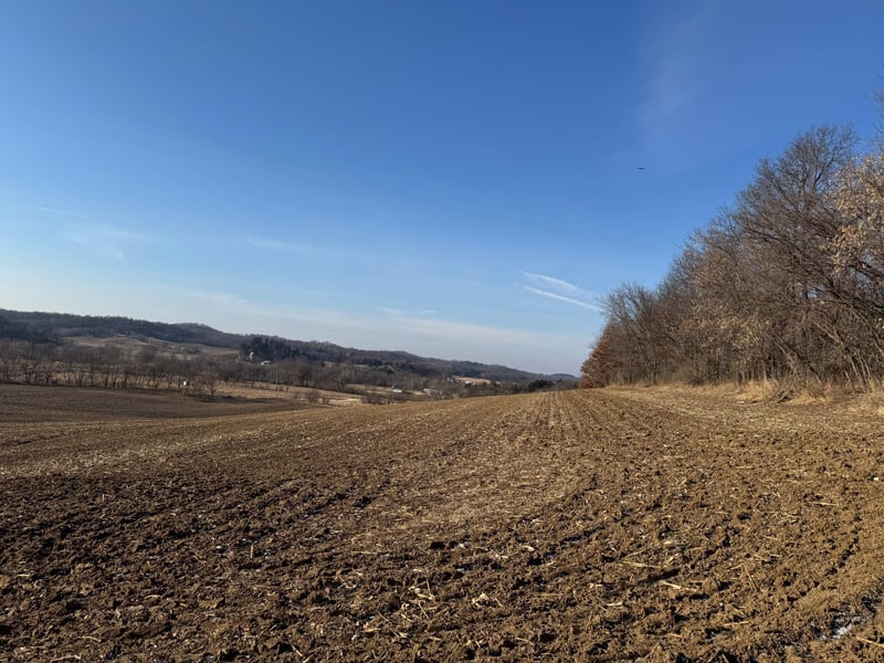 00 Braun Ln, Ettrick, WI 54627