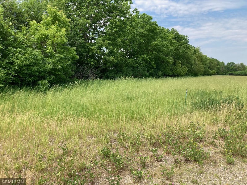 Parcel B - C 306th St, Frontenac, MN 55026