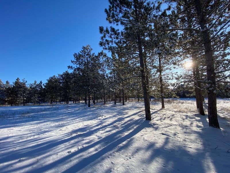 11335 E Williams Dr, Gordon, WI 54838