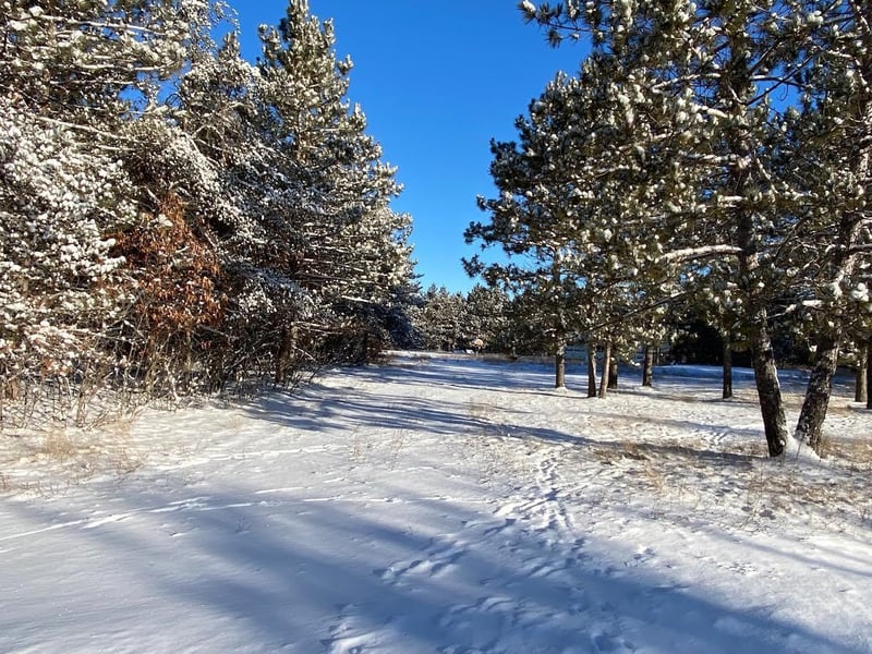 11335 E Williams Dr, Gordon, WI 54838