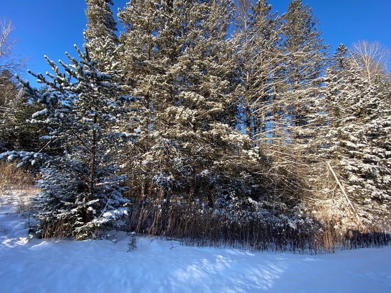 14451 S Old Hwy 53, Gordon, WI 54838