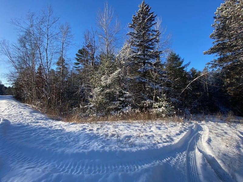 14451 S Old Hwy 53, Gordon, WI 54838