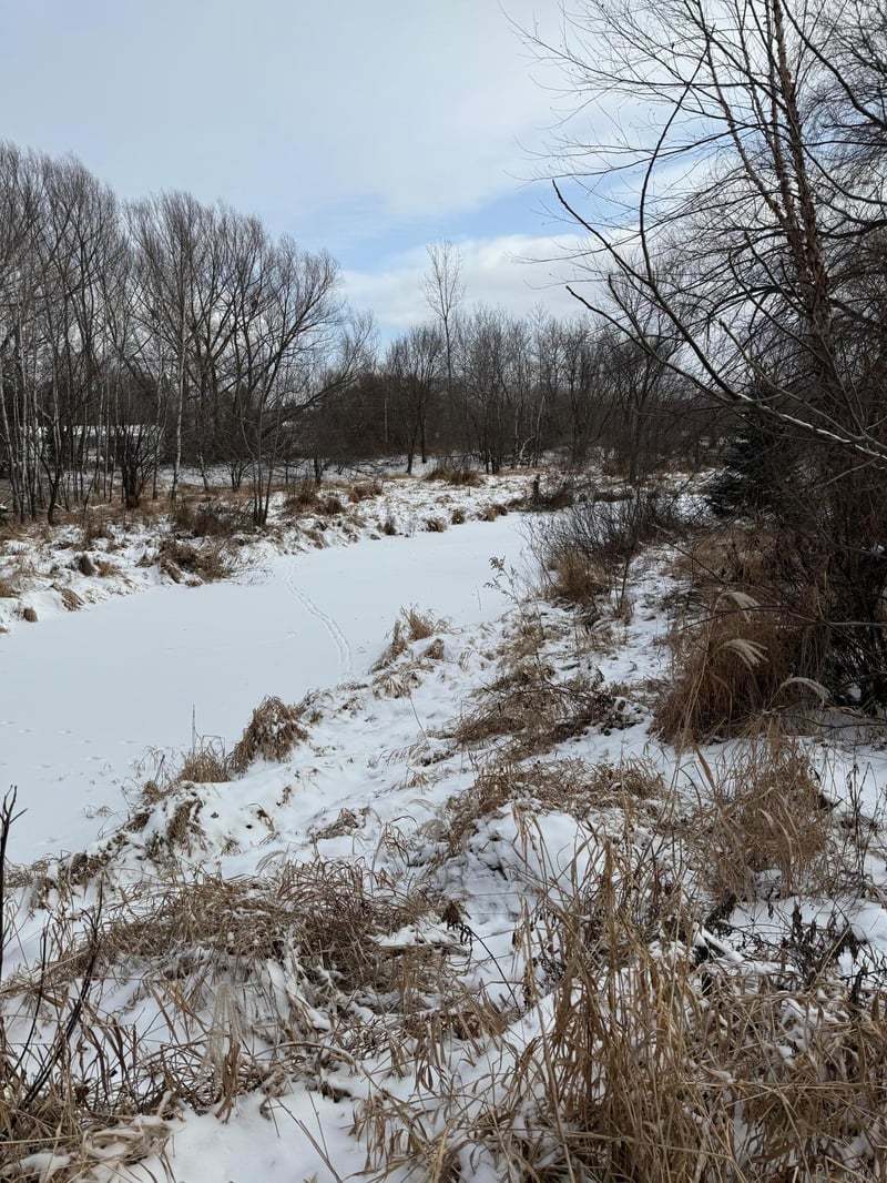 18248 Jackson St NE, Cedar, MN 55011