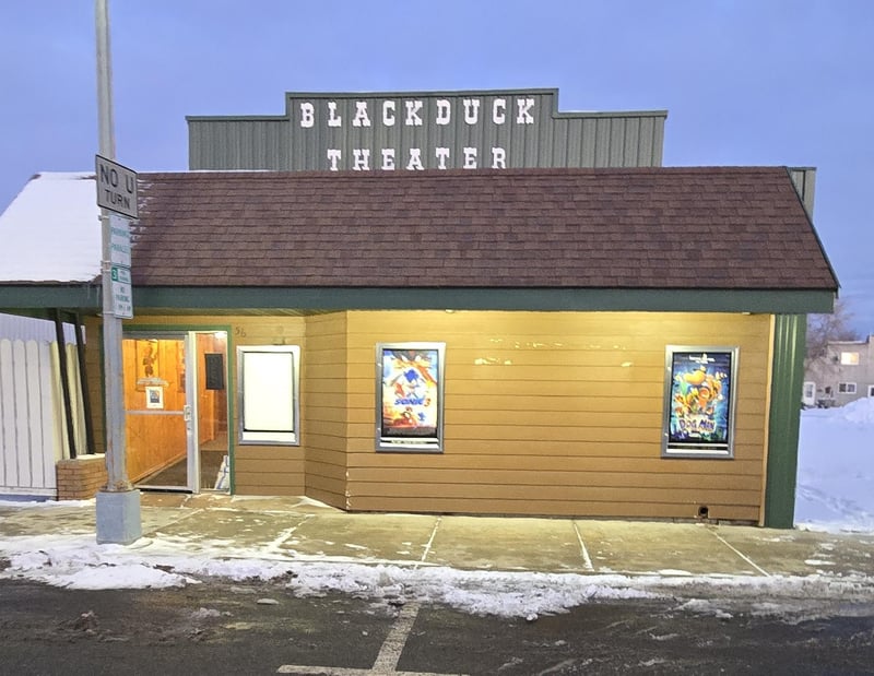 56 Main St N, Blackduck, MN 56630