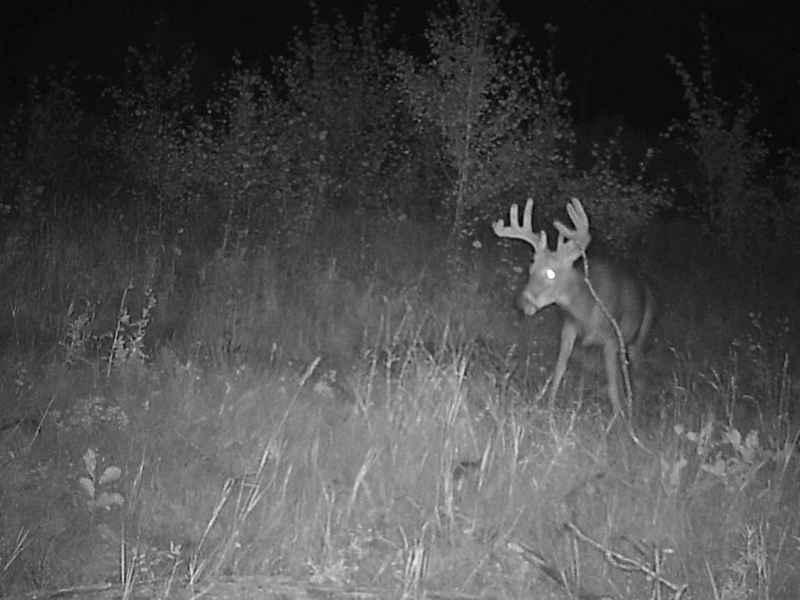 NA Highway 5, Side Lake, MN 55781