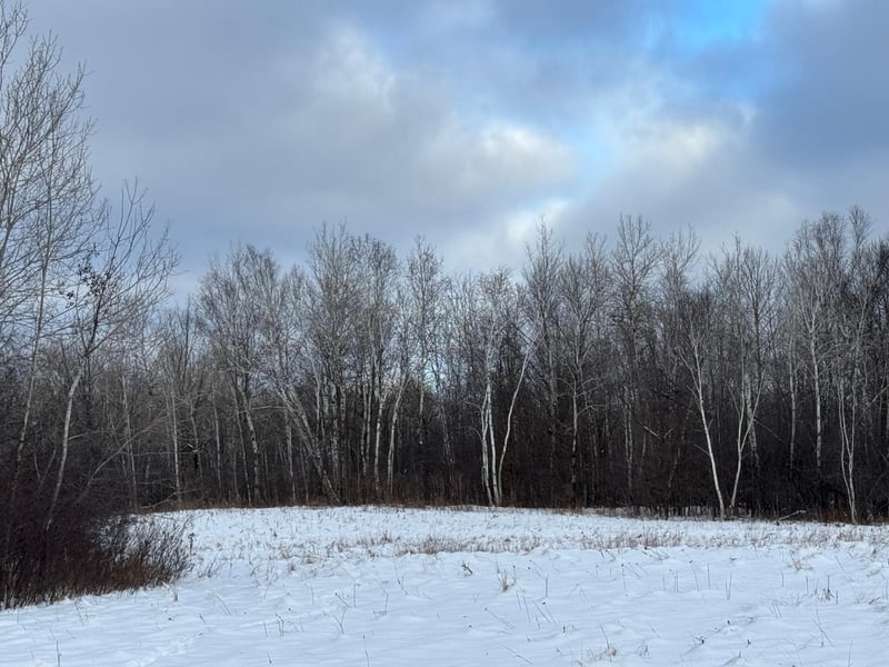 34491 Partridge Dr, Askov, MN 55704