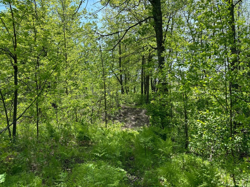XX 233rd Pl, Jacobson, MN 55752