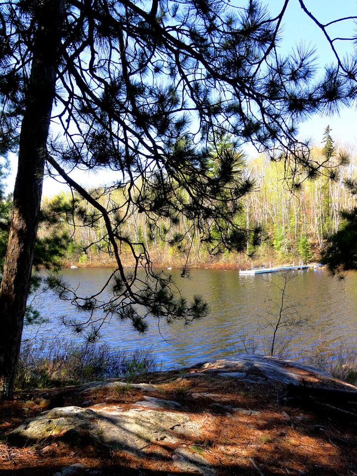 TBD Lot 3 Yahoo Point Rd, Cook, MN 55723
