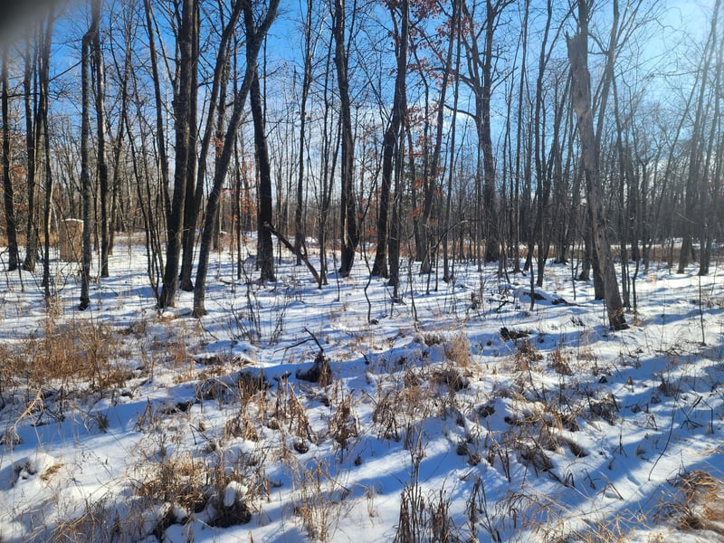 00 4 5/8, Cumberland, WI 54829