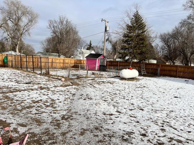 109 2nd Ave, Bellingham, MN 56212