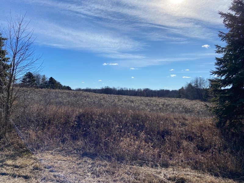 31639 Park Trl, Center City, MN 55012
