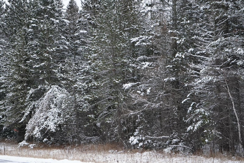 TBD Town Line Rd, Brimson, MN 55602