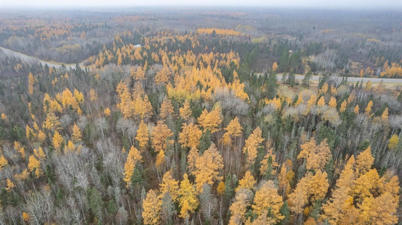 TBD Town Line Rd, Brimson, MN 55602