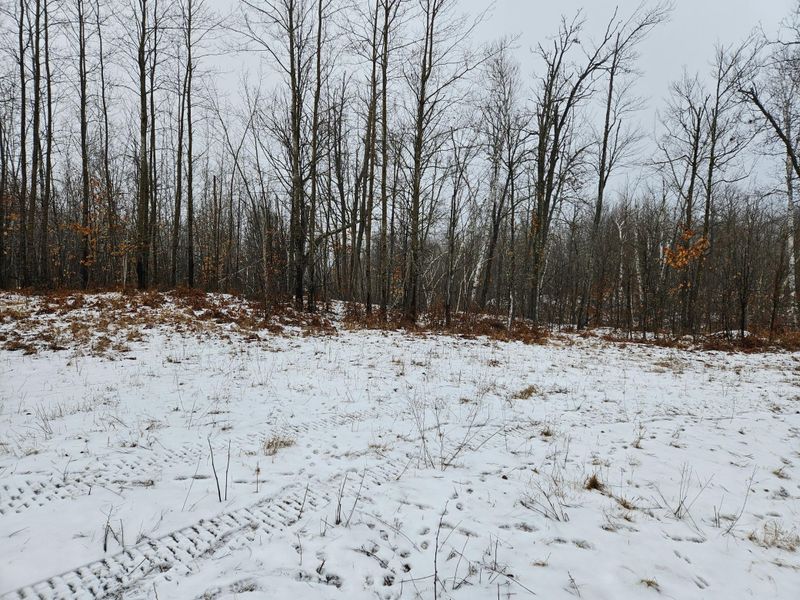 14928 S Fire Ln, Dairyland, WI 54830