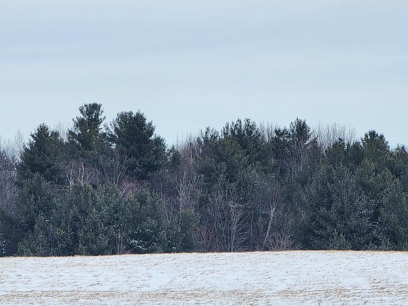 512 21 1/2 Ave, Cumberland, WI 54829