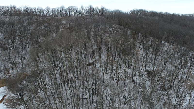 0 Appleberry Ln, Mondovi, WI 54755