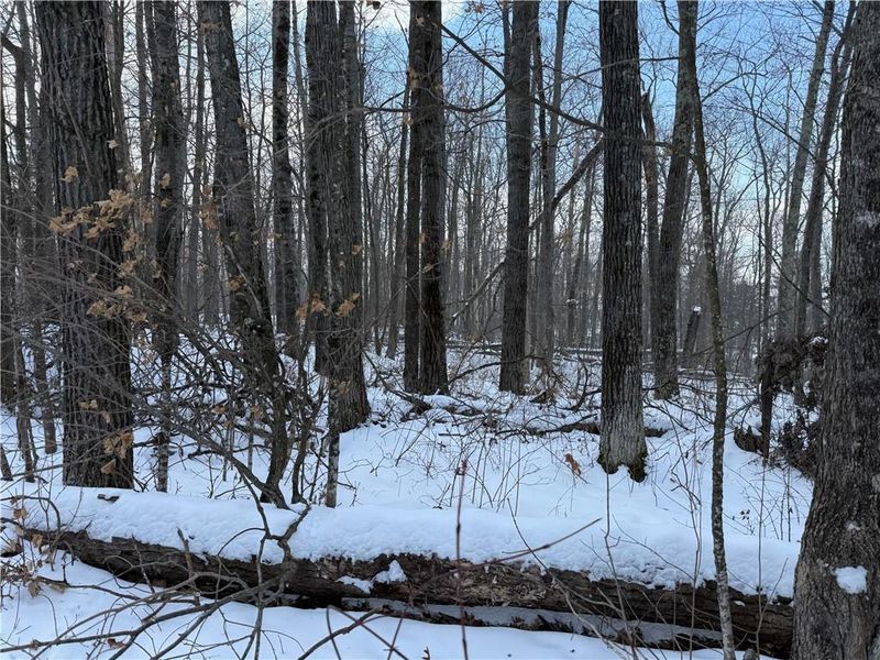 XXX Victory Heights Cir, Stone Lake, WI 54876