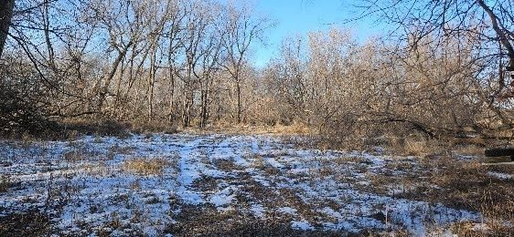 Parcel 3 Willow Rd NE, Carlos, MN 56319