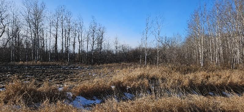 Parcel 3 Willow Rd NE, Carlos, MN 56319
