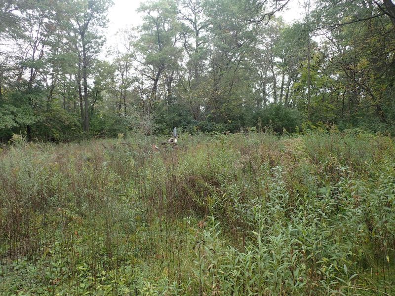 3452 Roosevelt Rd, Saint Cloud, MN 56301