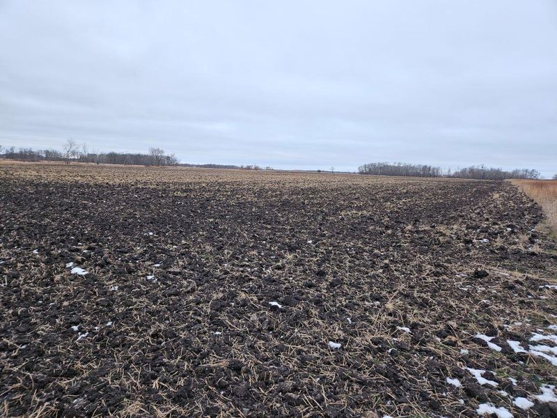 Parcel 5 Willow Rd NE, Carlos, MN 56319