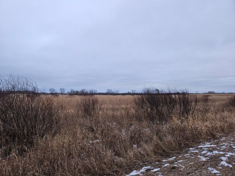 Parcel 6 Willow Rd NE, Carlos, MN 56319