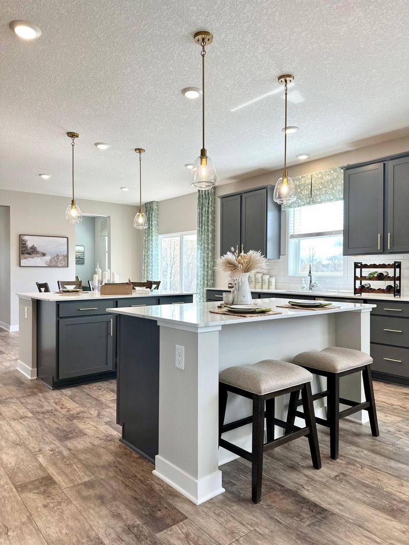 1488 Sophia Dr, Chaska, MN 55318