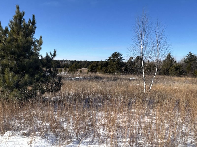 Lot 3 - XXX Barrett Rd, Trego, WI 54888