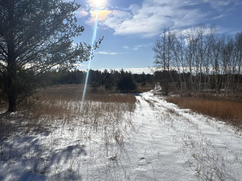 Lot 1 - X Barrett Rd, Trego, WI 54888