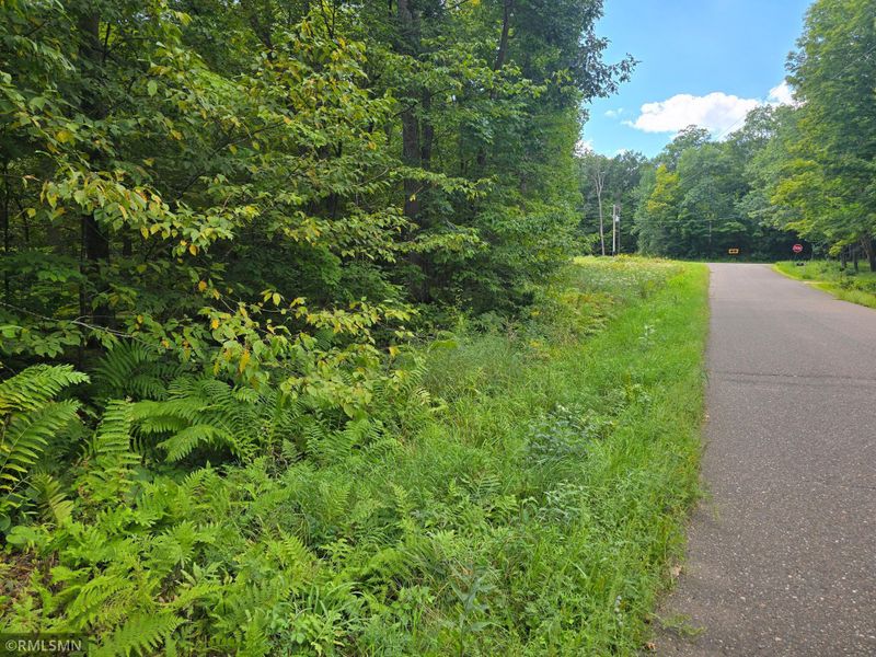 TBD 162nd St, Amery, WI 54001