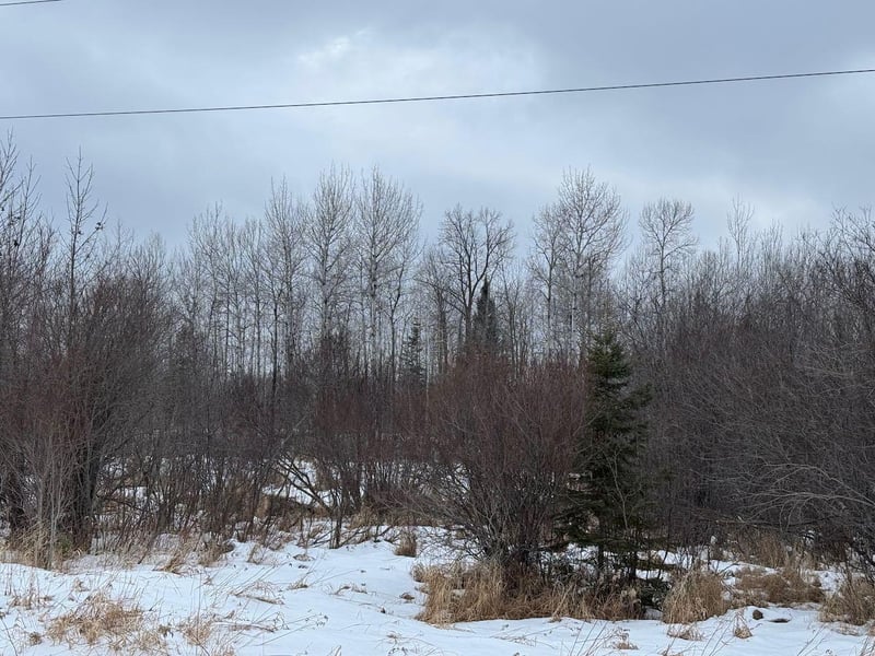 15a Hines Road Ne, Blackduck, MN 56630