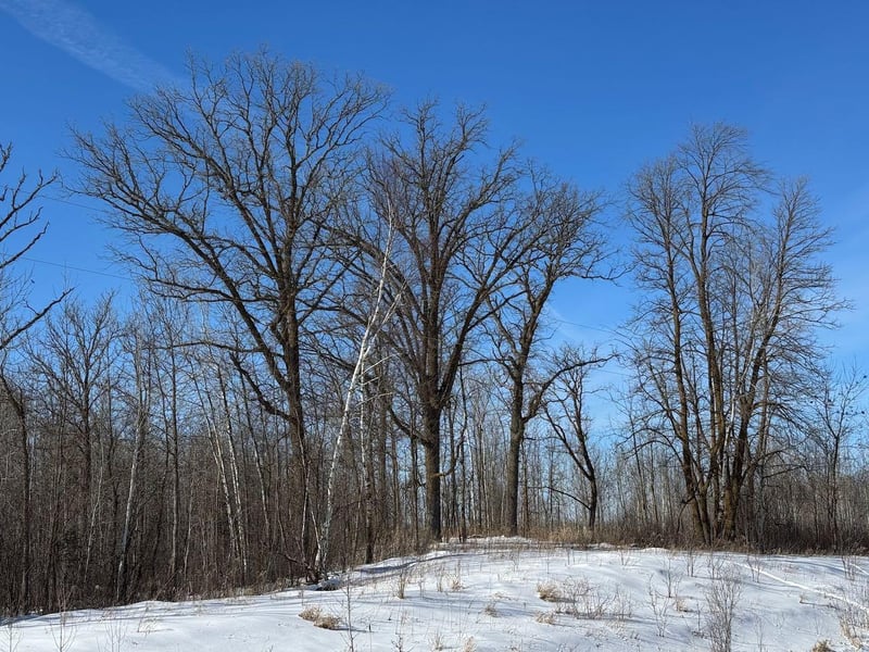 15a Hines Road Ne, Blackduck, MN 56630