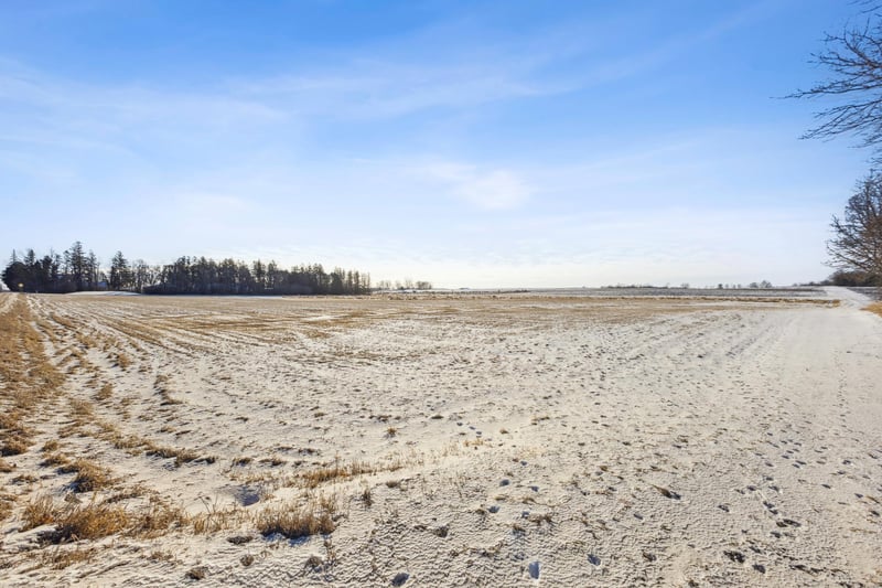 xxx 30th St, Mayer, MN 55360