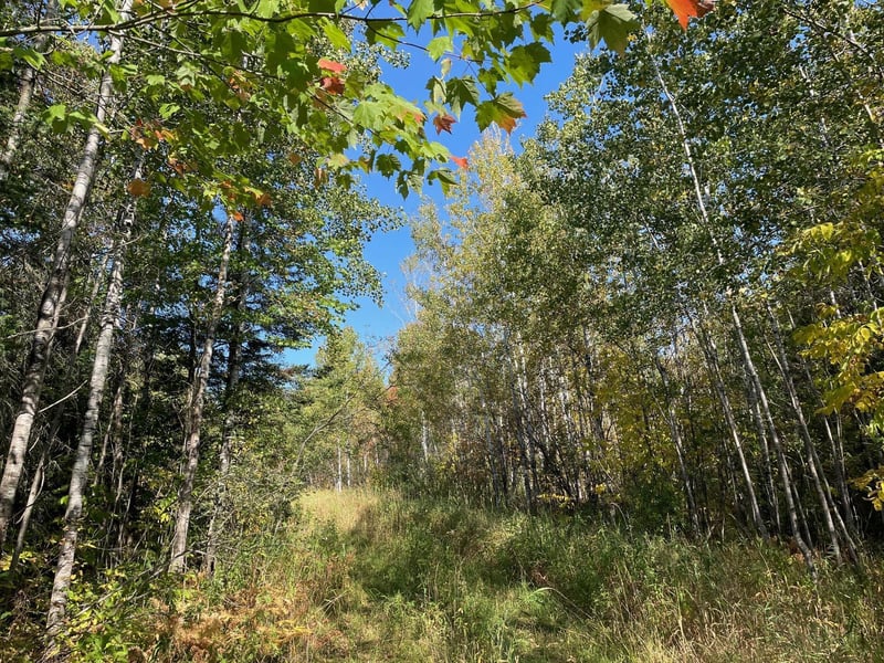 TBD County Rd 83, Pengilly, MN 55775