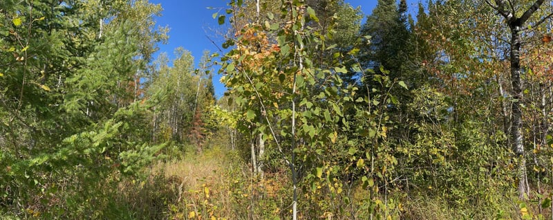 TBD County Rd 83, Pengilly, MN 55775