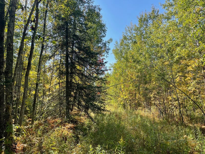 TBD County Rd 83, Pengilly, MN 55775