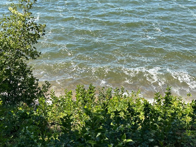 TBD Wavefront Dr, Battle Lake, MN 56515