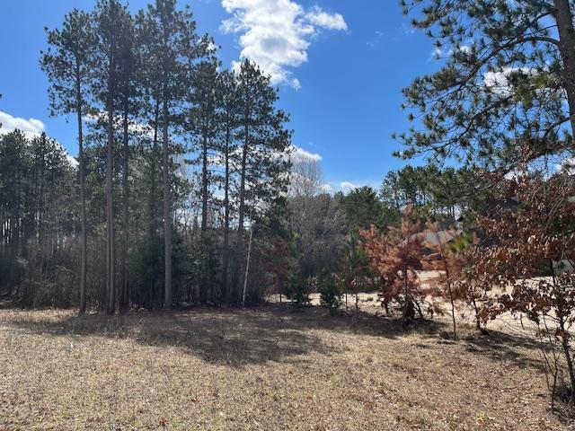 8982 Ryan Lake Dr NE, Linwood Twp, MN 55079