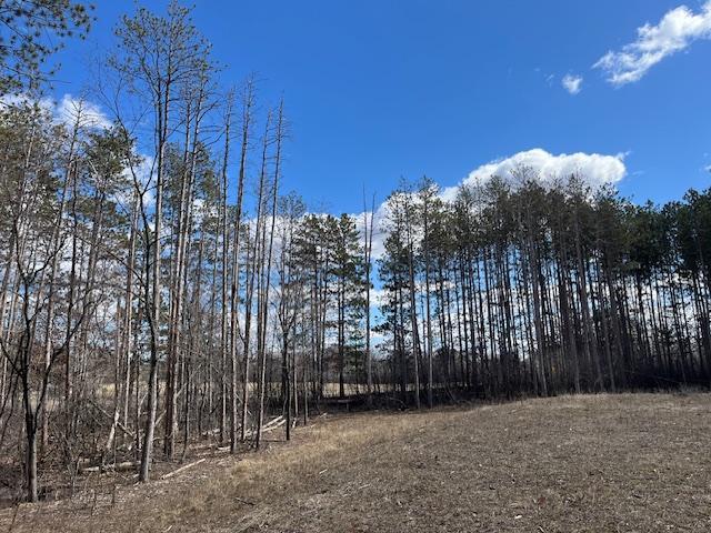 8982 Ryan Lake Dr NE, Linwood Twp, MN 55079