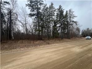 TBD Birdsview Ln NW, Bemidji, MN 56601